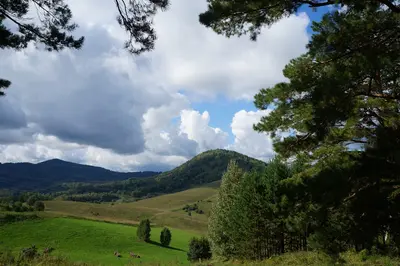 Altai Mountains, Russia