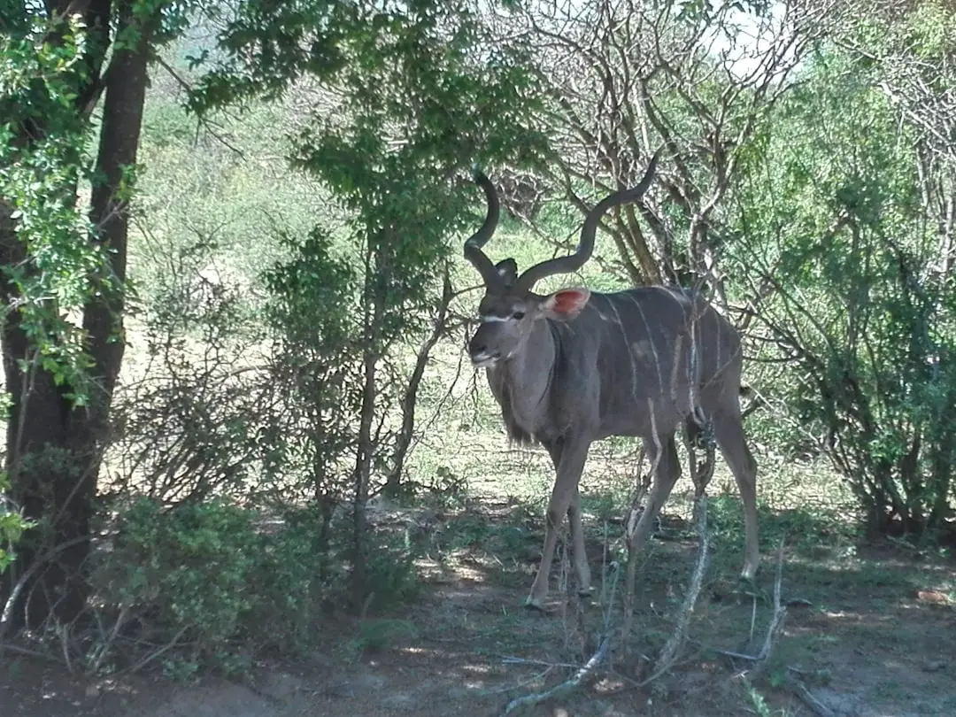 Gaborone, Botswana