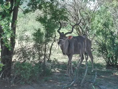 Gaborone, Botswana