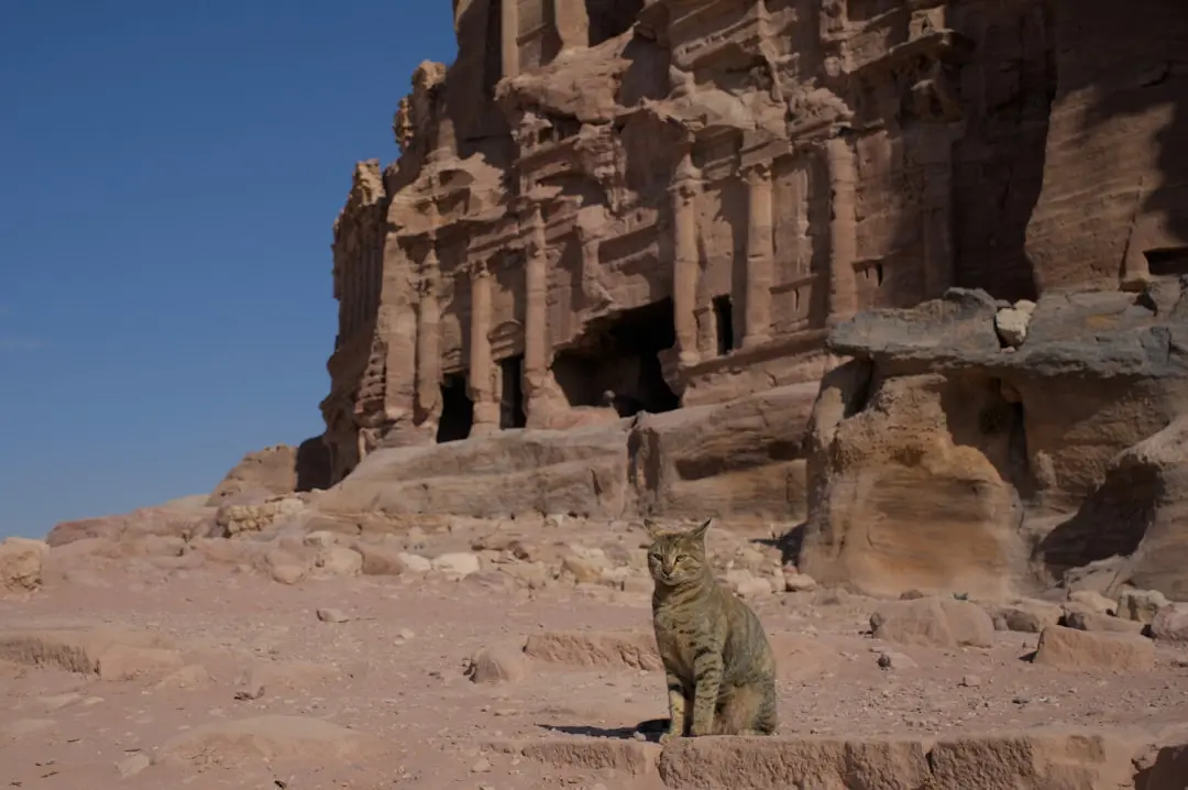 Travel destinations in Jordan