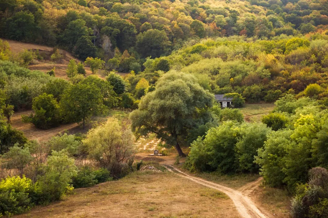 Travel destinations in Moldova