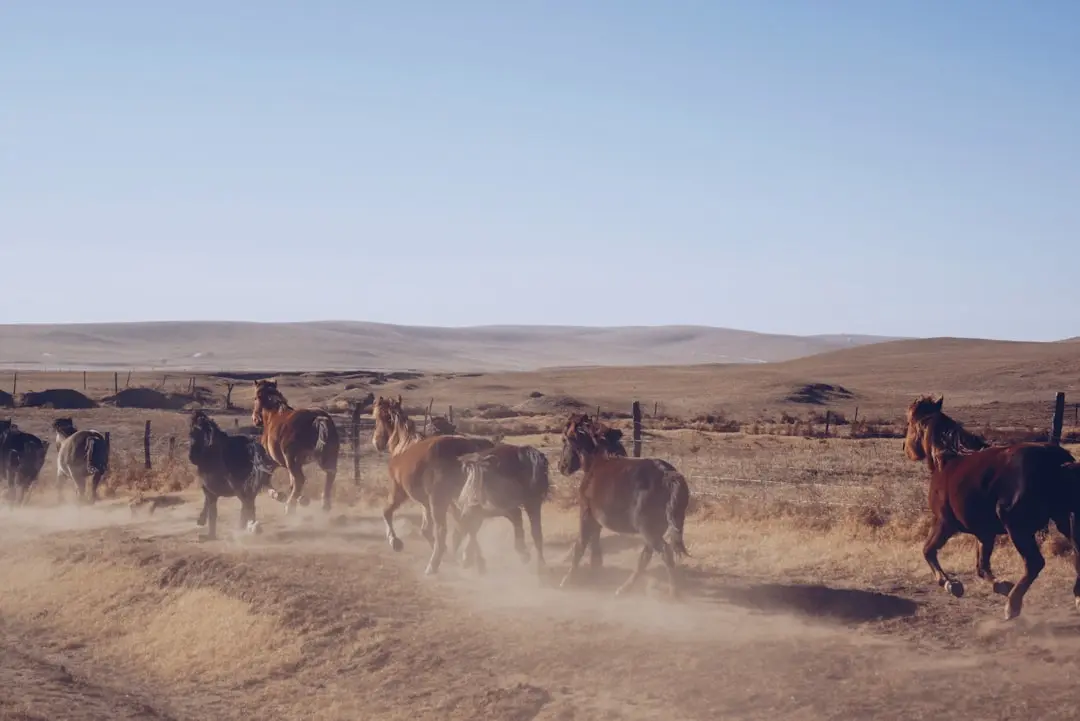 Travel destinations in Mongolia