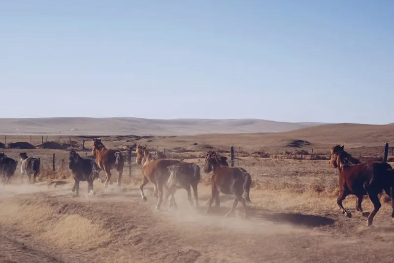 Mongolia