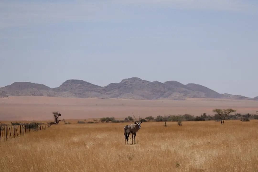 Travel destinations in Namibia
