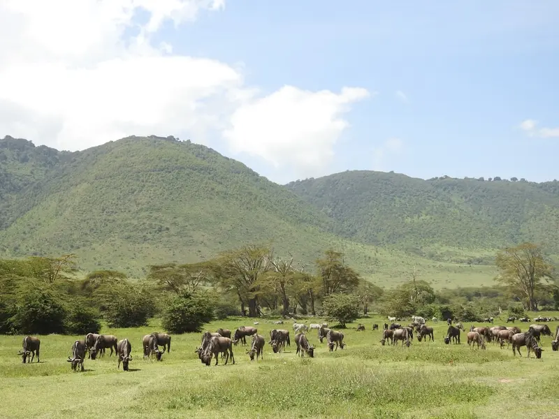Tanzania